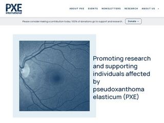 PXE International