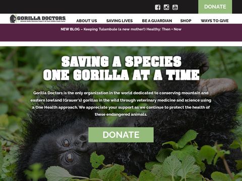 Mountain Gorilla Veterinary Project