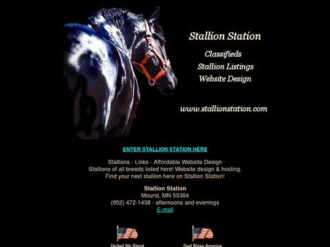 Stallion Station