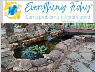 Everything Fishy
