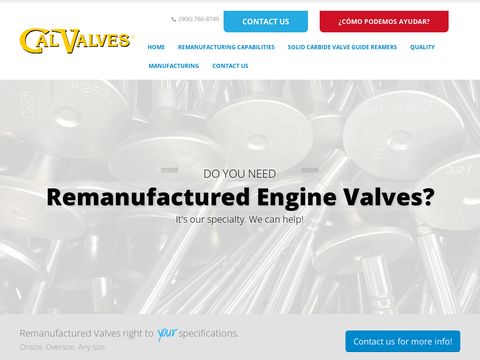 Cal Valves