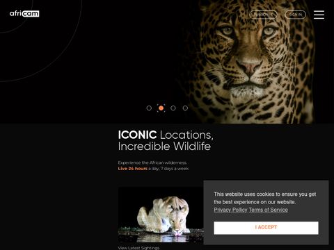 Africam
