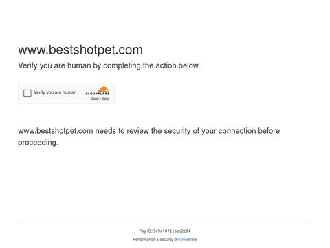 Best Shot Solutions