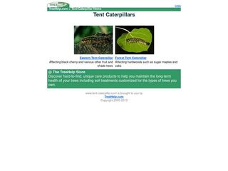 Tent Caterpillars