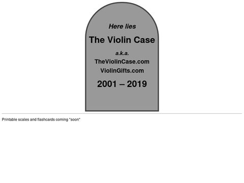 The Violin Case