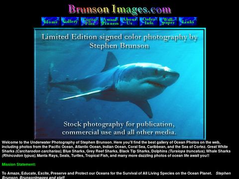 BrunsonImages underwater photography of marine life